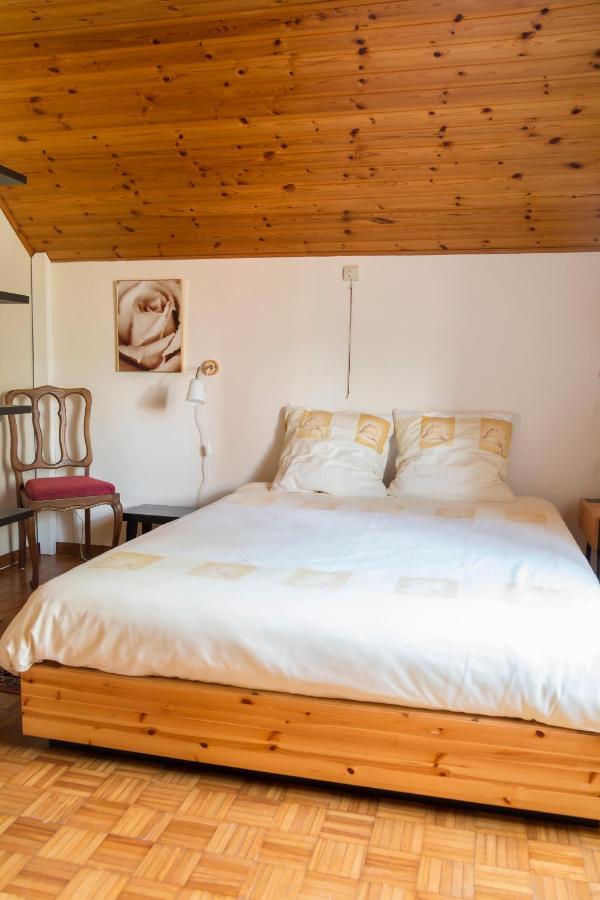 Vakantiewoning Het Oude Laer بلزن المظهر الخارجي الصورة